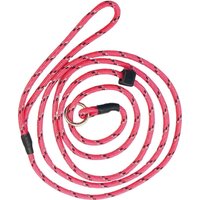 Dog Leash With Reflextors
