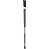 Double Ice Pole