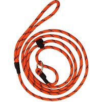 Dog Leash With Reflextors