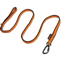 Bungee Leash