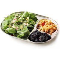 Large Ecolunchtray