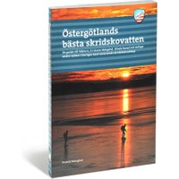 Östergötlands bästa skridskovatten