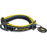 Urban Trail Reflective Collar