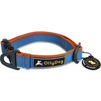 Urban Trail Reflective Collar