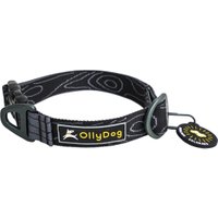 Flagstaff Collar