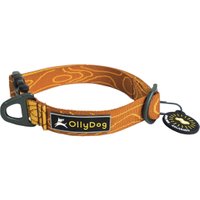 Flagstaff Collar