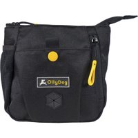 Backcountry Day Bag