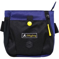Backcountry Day Bag