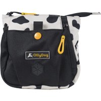 Backcountry Day Bag