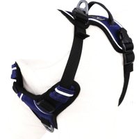 Alpine Reflective Harness