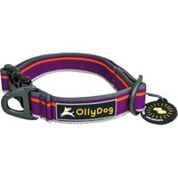 Urban Trail Reflective Collar