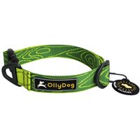 Flagstaff Collar