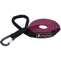Mountain Leash