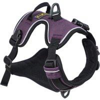 Alpine Reflective Harness