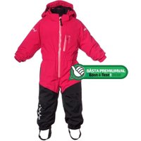 Penguin Snowsuit