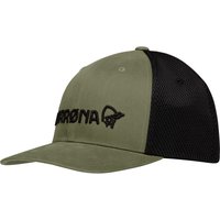 /29 3D Mesh Flexfit Cap