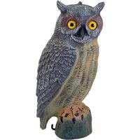 Great Horned Owl