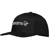 /29 3D Mesh Flexfit Cap